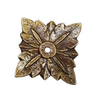 achterplaat leaf