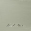 Dried Moss 1 liter