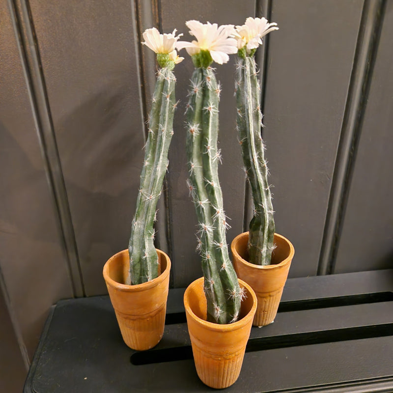 kunstcactus met bloem