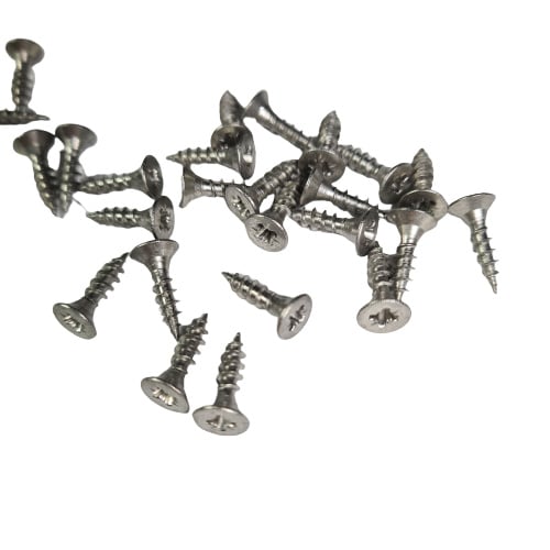 kruiskopschroef RVS 6 x 12 mm