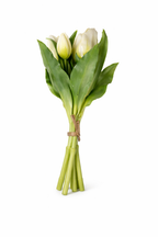 Bos tulpen wit (kort)