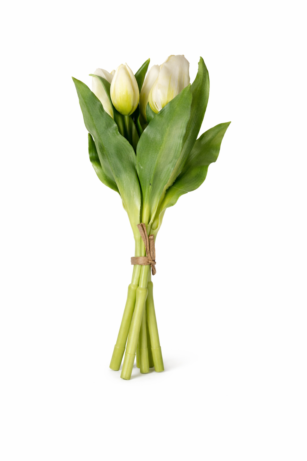 Bos tulpen wit (kort)