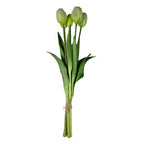 Bos tulpen wit (lang)