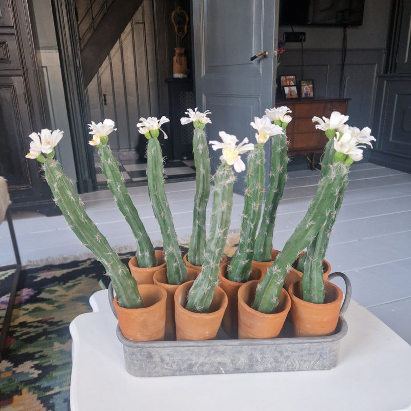 kunstcactus met bloem