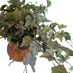 Kunstplant Hedera