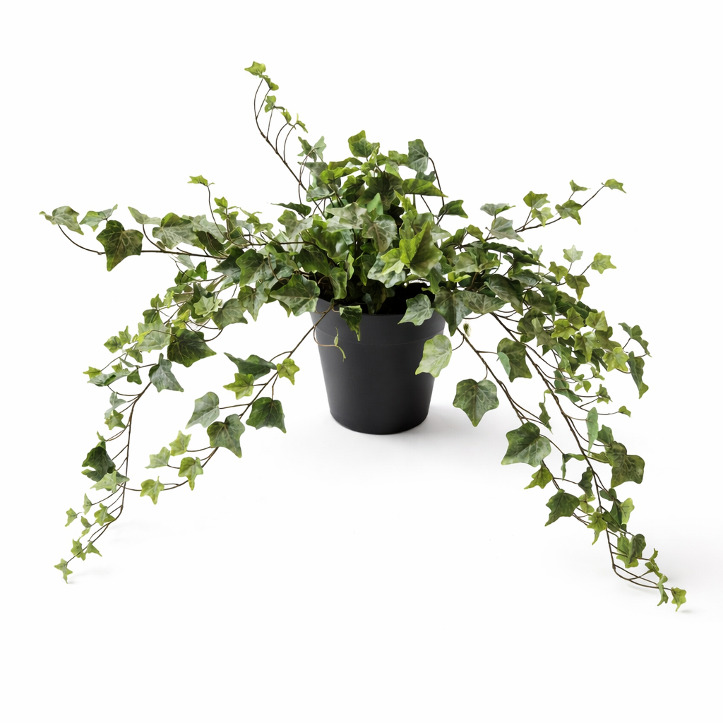 Kunstplant Hedera