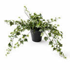 Kunstplant Hedera